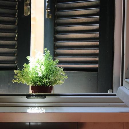 רומא Colosseum New Charming Apartment מראה חיצוני תמונה